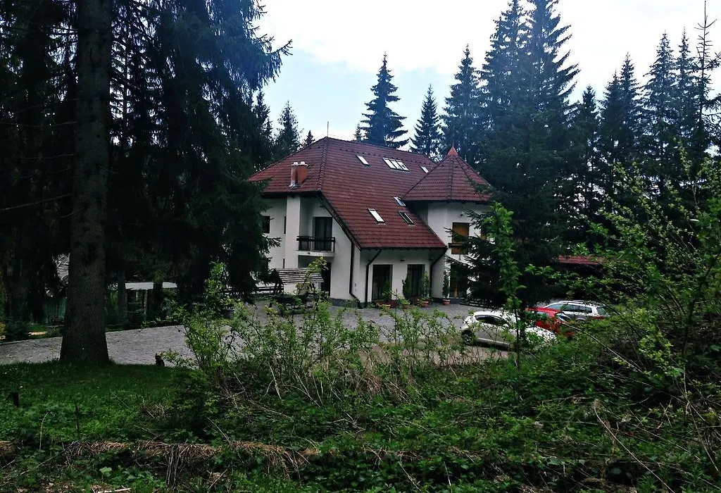 Pensiunea Daria Poiana Brasov-1